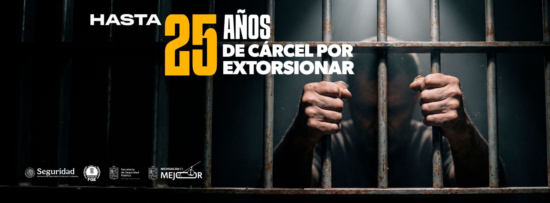 carrusel gobierno